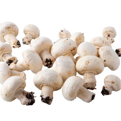 Шампиньоны свежие 500 г - купить в Бурул